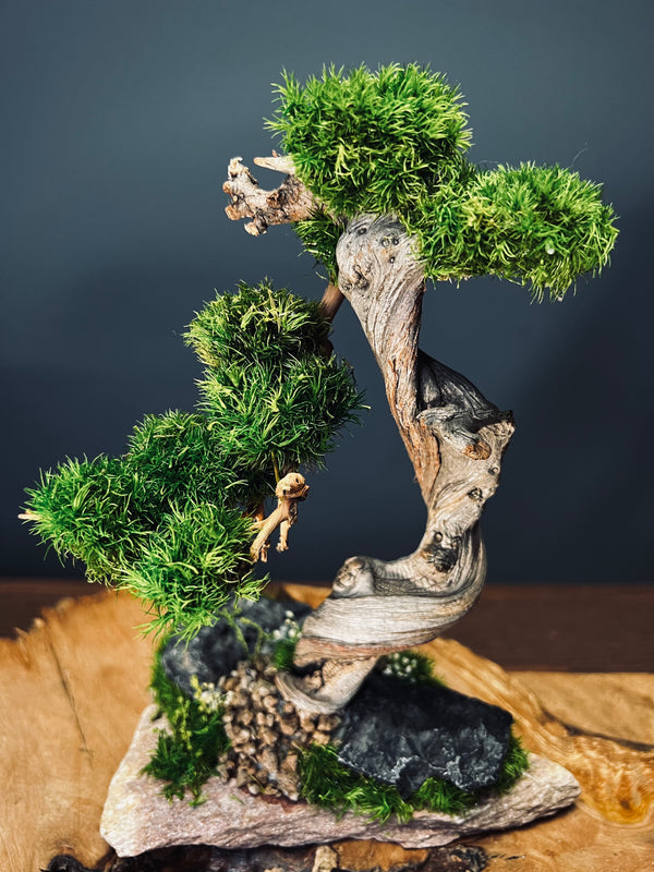 The Windcut Wood - Small version - Raw (Preserved Plants)
