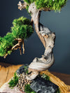 The Windcut Wood - Small version - Raw (Preserved Plants)
