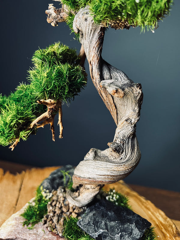 The Windcut Wood - Small version - Raw (Preserved Plants)