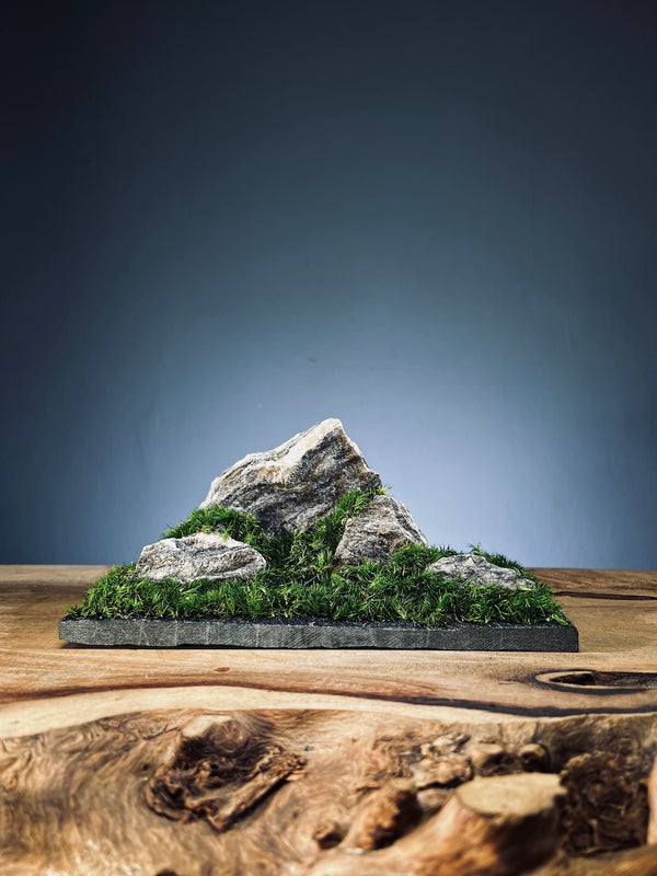 Summer Hill (Preserved Plants)