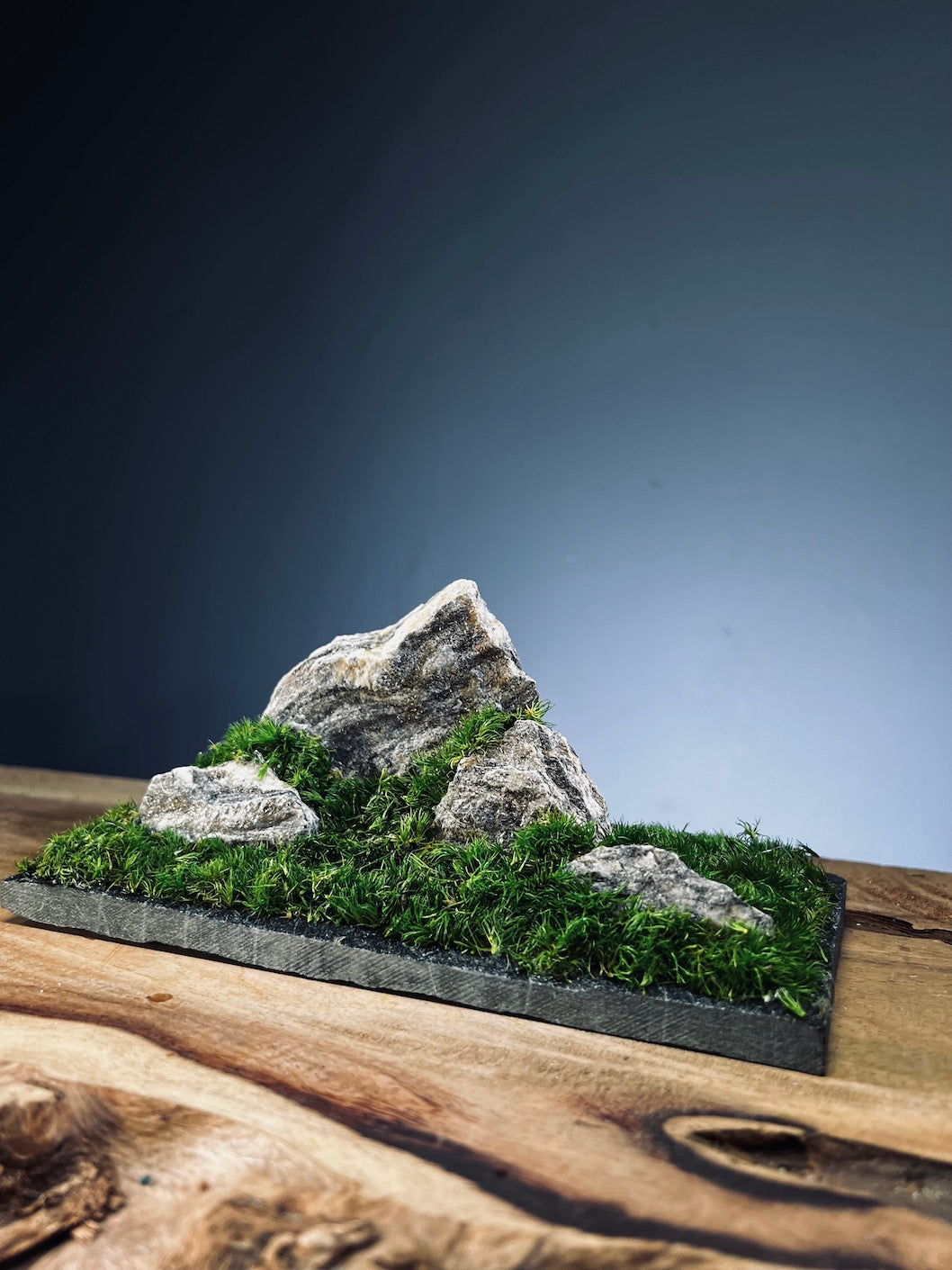 Summer Hill (Preserved Plants)