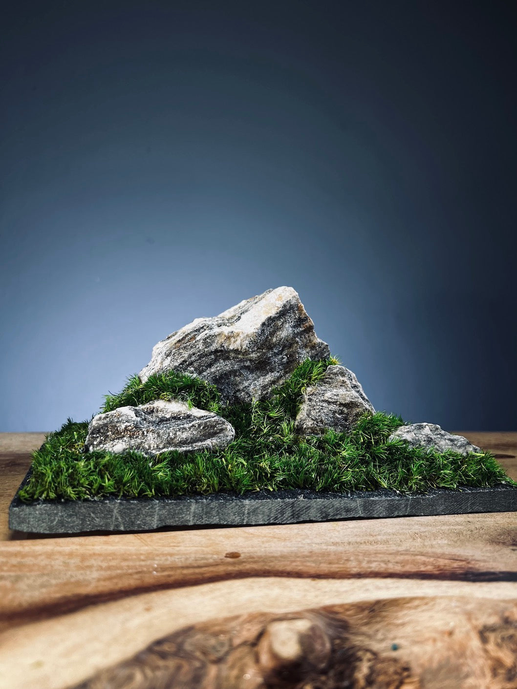 Summer Hill (Preserved Plants)