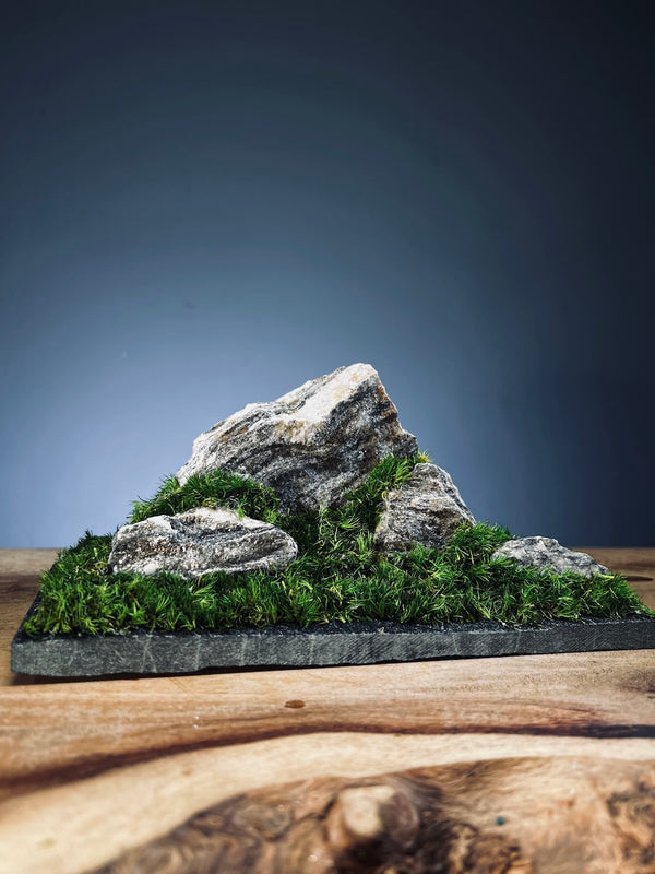 Summer Hill (Preserved Plants)