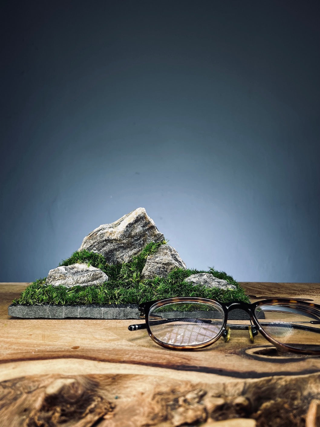 Summer Hill (Preserved Plants)