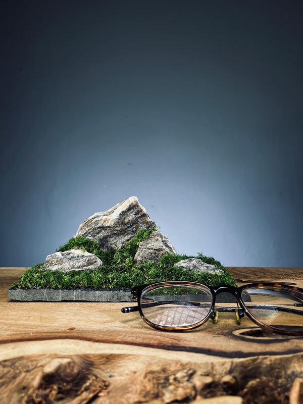 Summer Hill (Preserved Plants)