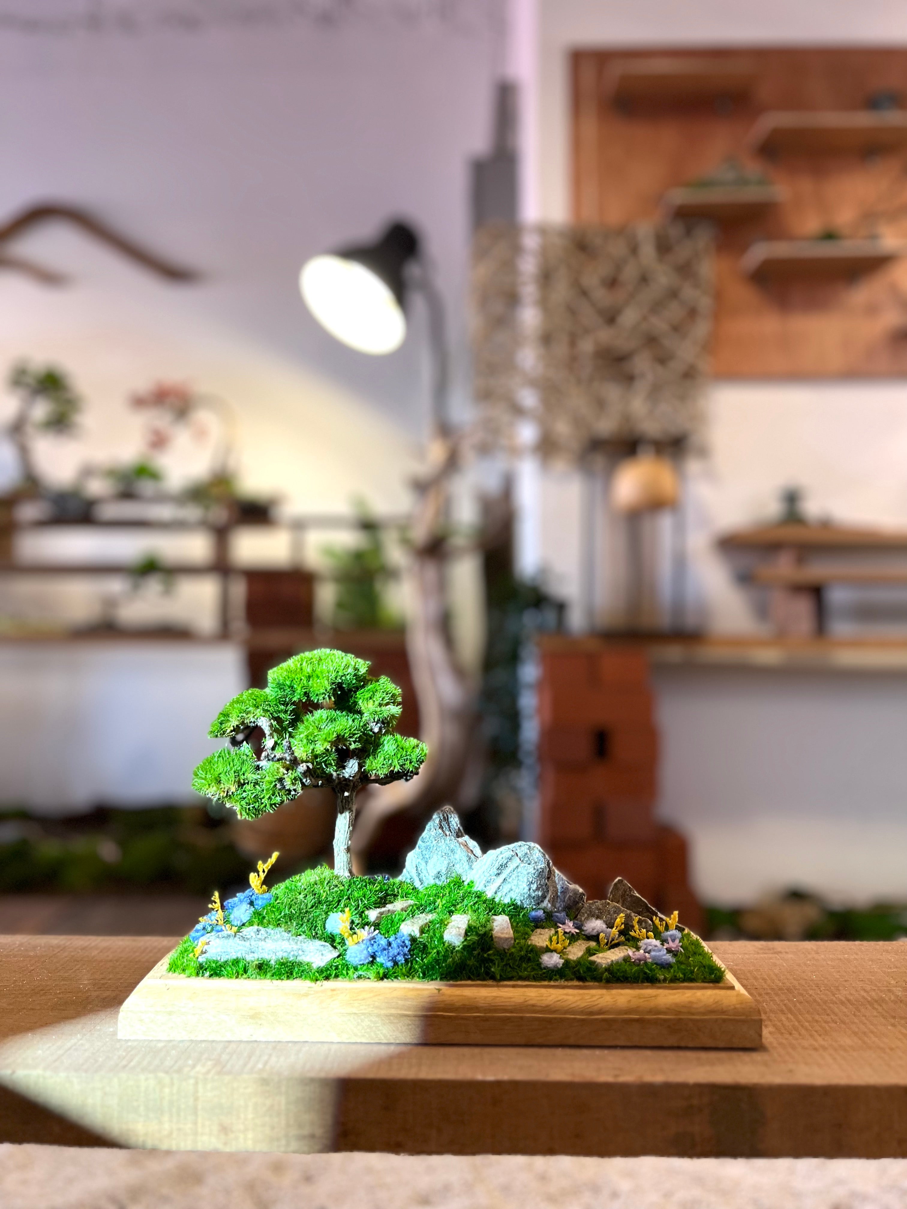 Violet Hill - Smaller version (Preserved Plants)