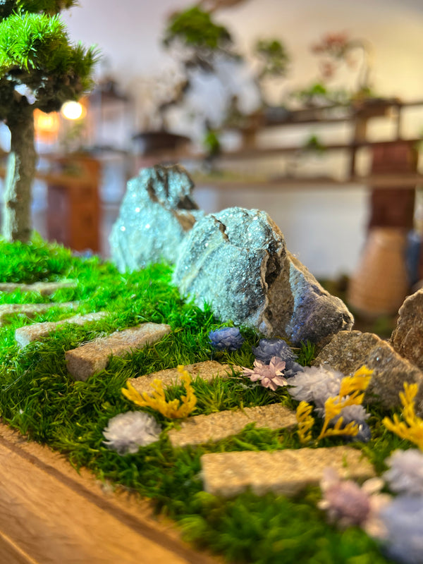 Violet Hill - Smaller version (Preserved Plants)