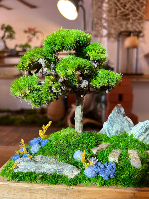 Violet Hill - Smaller version (Preserved Plants)