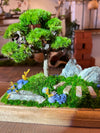 Violet Hill - Smaller version (Preserved Plants)