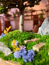 Violet Hill - Smaller version (Preserved Plants)