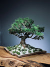 Snow Pine - Wonder (Preserved Plants)