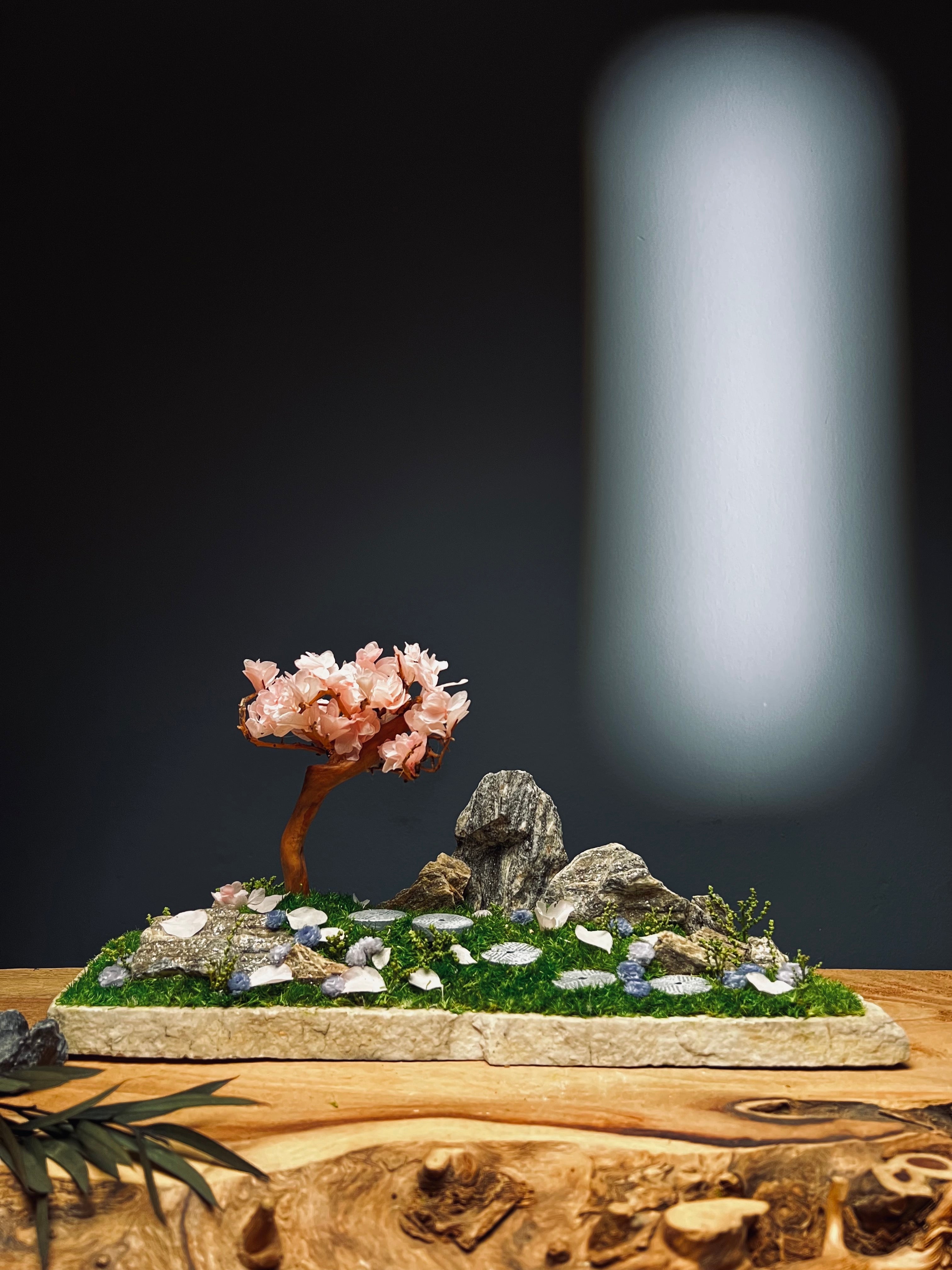 Violet Hill - Sakura edition - Large version (Preserved Plants)