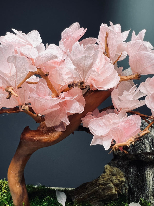 Violet Hill - Sakura edition - Large version (Preserved Plants)