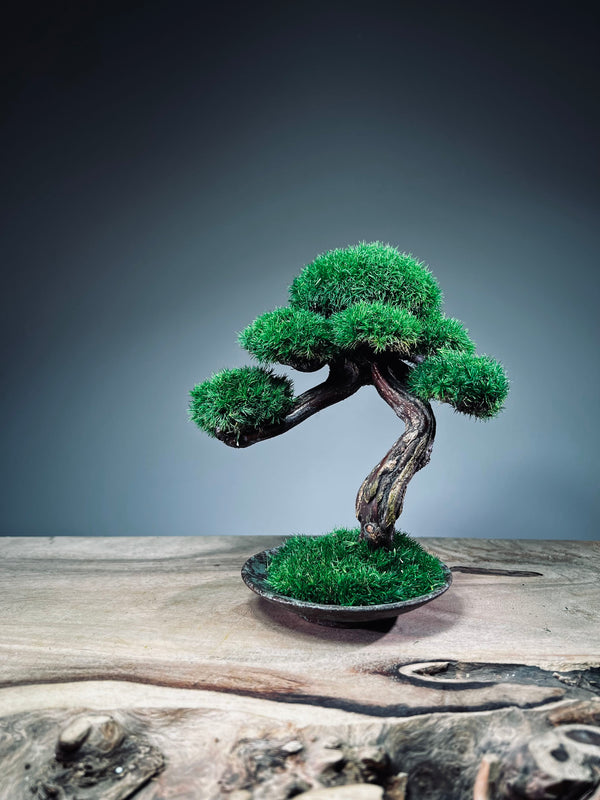 Rosewood (Preserved Plants)