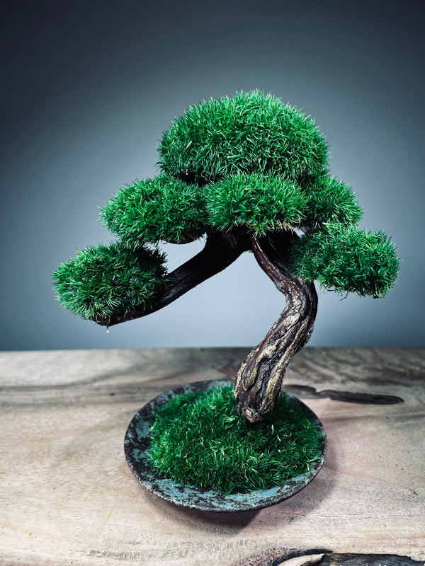 Rosewood (Preserved Plants)
