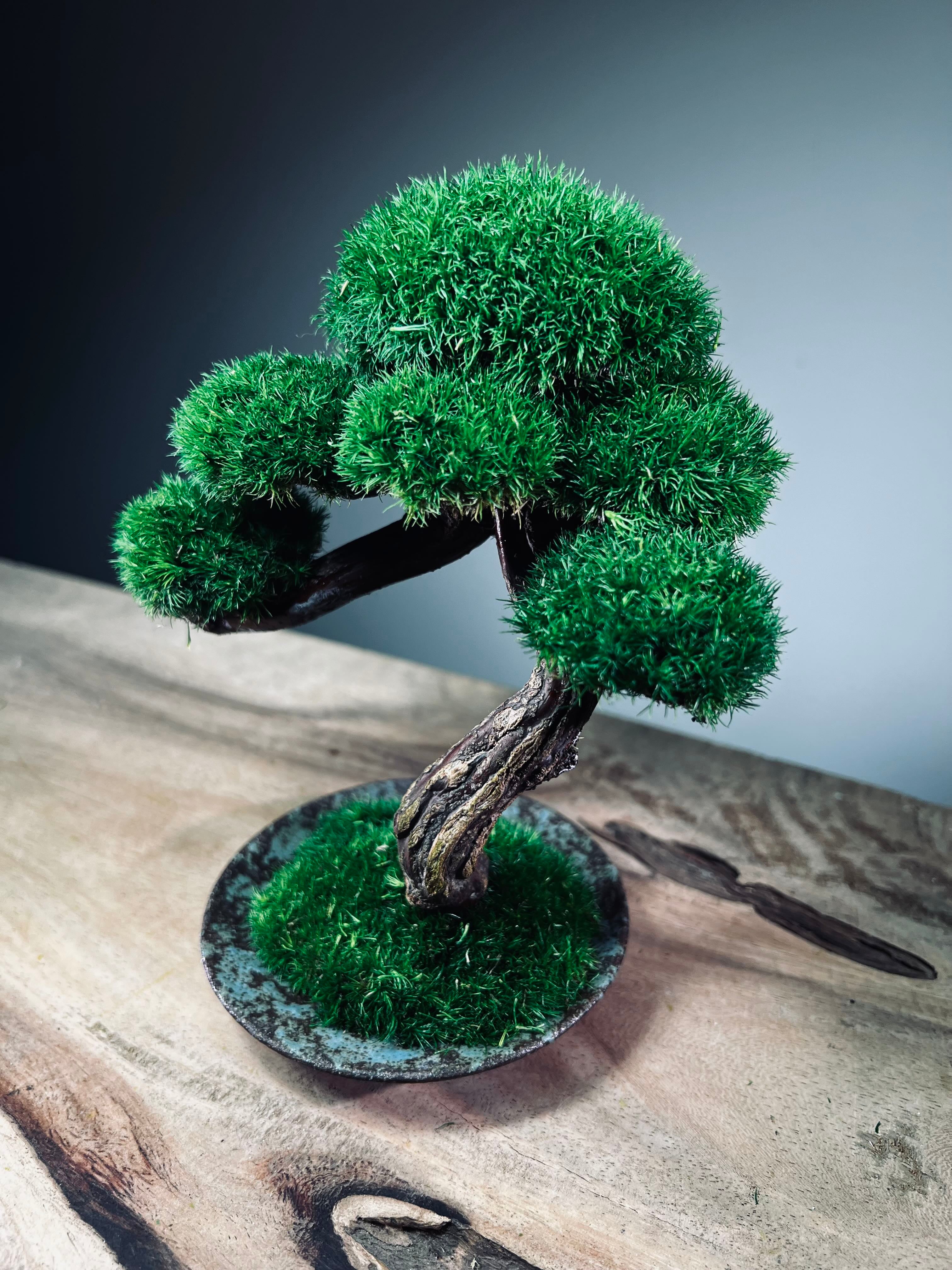 Rosewood (Preserved Plants)