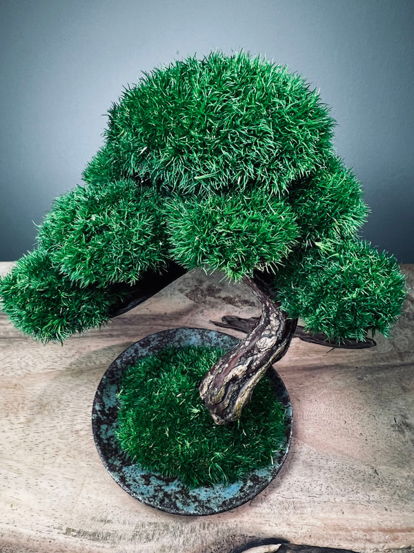 Rosewood (Preserved Plants)