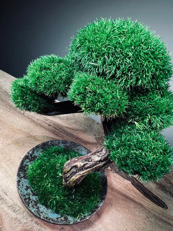 Rosewood (Preserved Plants)