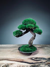Rosewood (Preserved Plants)