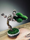 Rosewood - Cultured Wild (Preserved Plants)