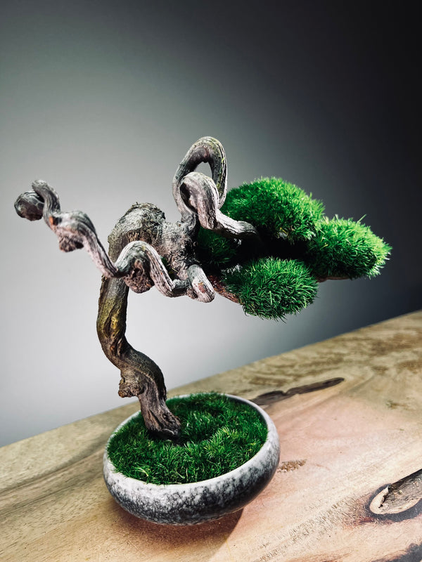 Rosewood - Cultured Wild (Preserved Plants)