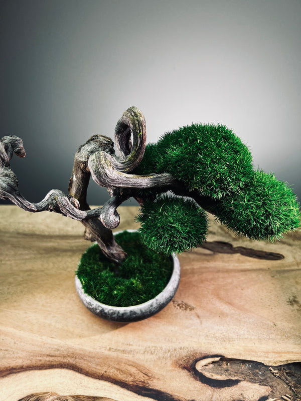 Rosewood - Cultured Wild (Preserved Plants)