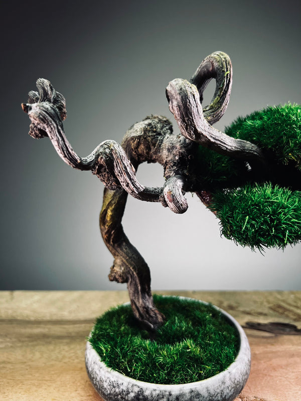 Rosewood - Cultured Wild (Preserved Plants)