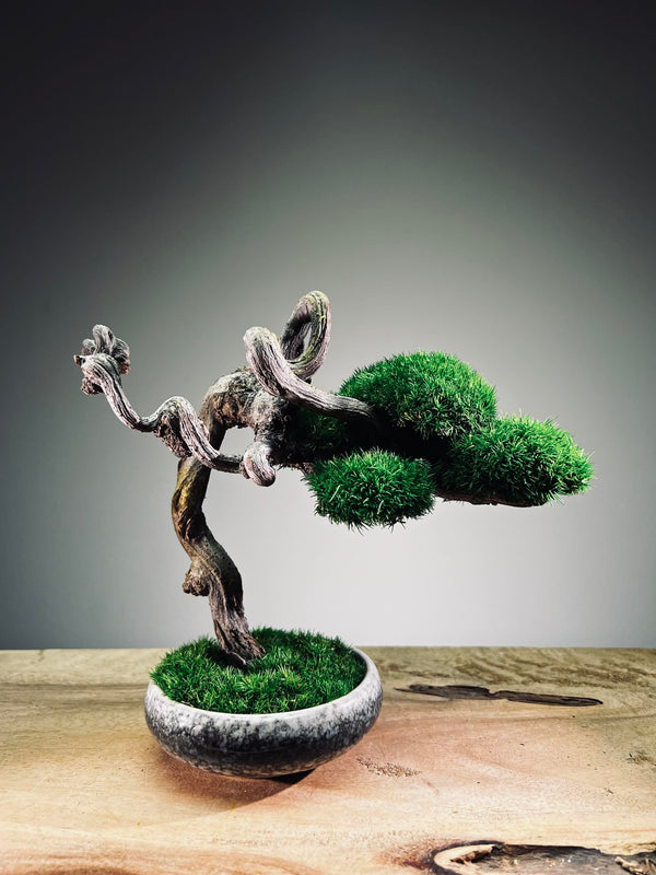 Rosewood - Cultured Wild (Preserved Plants)