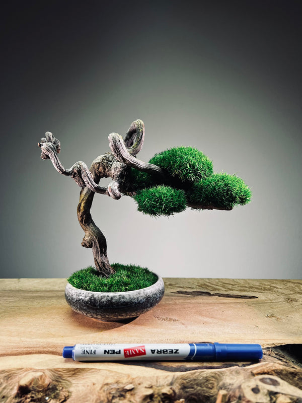 Rosewood - Cultured Wild (Preserved Plants)