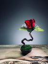 Children of the Forest - Jupiter (Preserved Plants)
