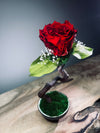 Children of the Forest - Jupiter (Preserved Plants)
