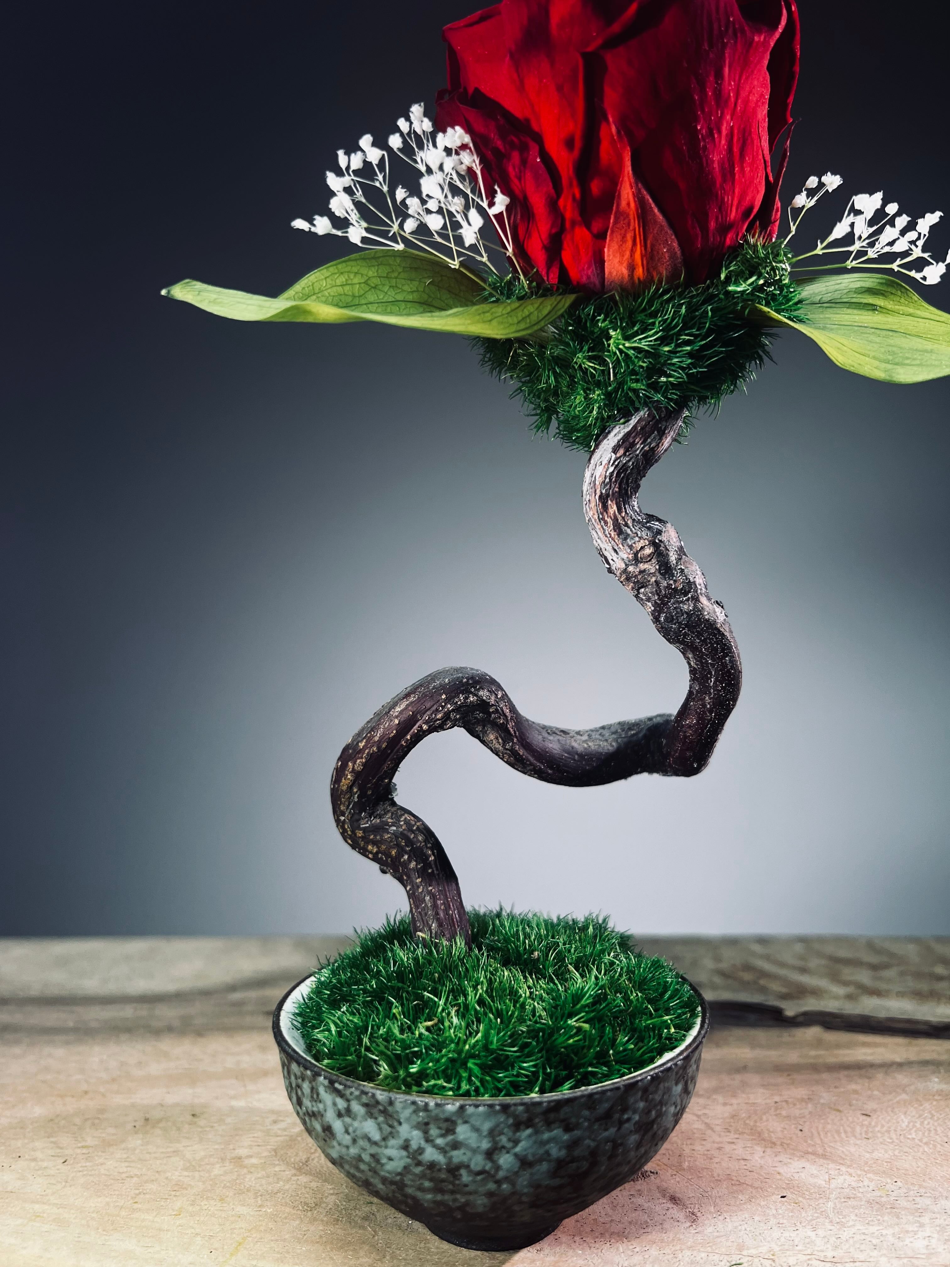 Children of the Forest - Jupiter (Preserved Plants)