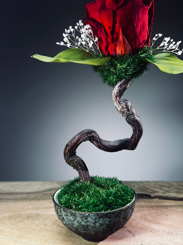 Children of the Forest - Jupiter (Preserved Plants)