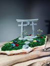 A Path in the East - Spring (Preserved Plants)