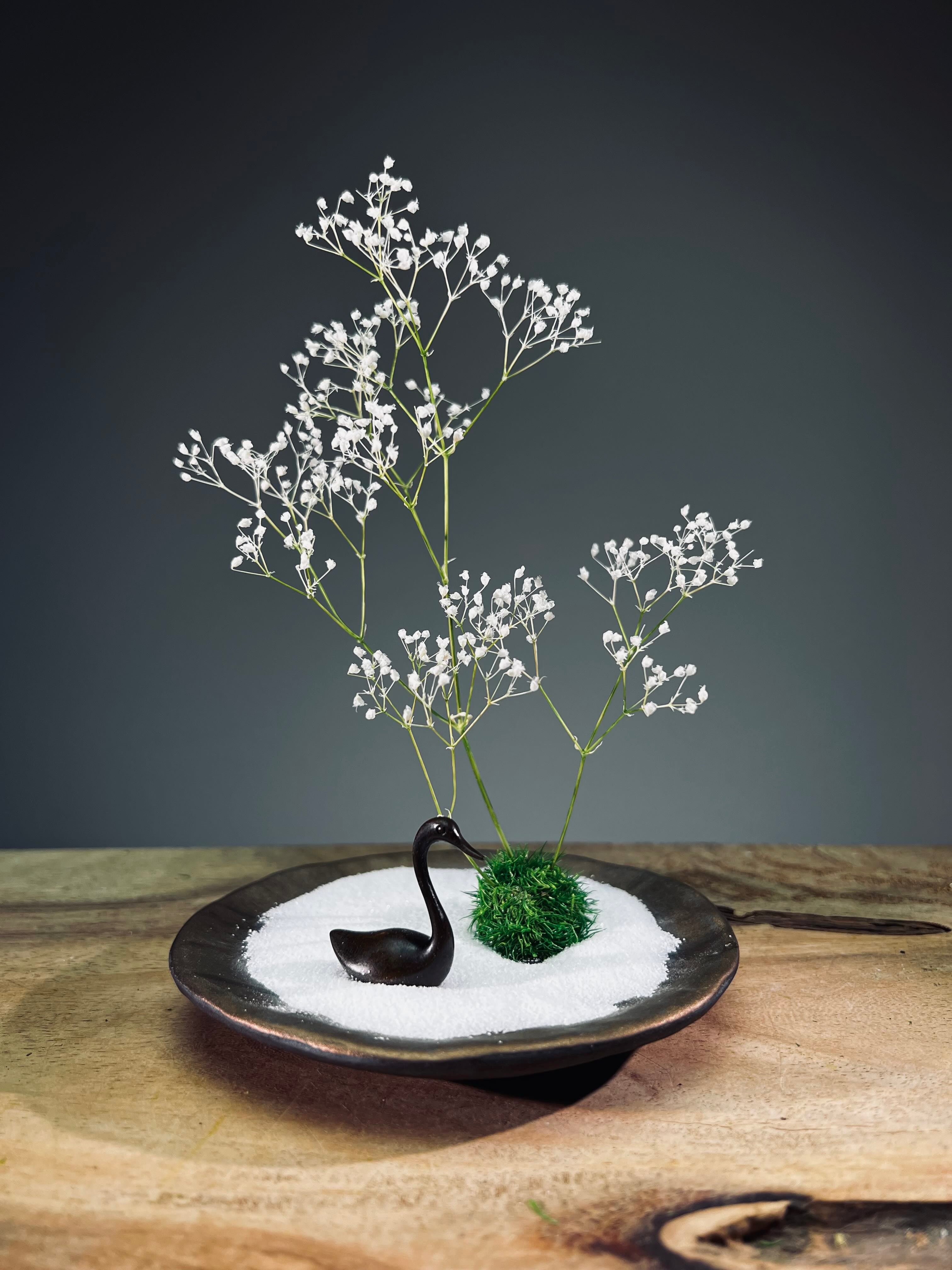 Snowfall - Swan Lake (Preserved Plants)