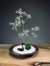 Snowfall - Swan Lake (Preserved Plants)
