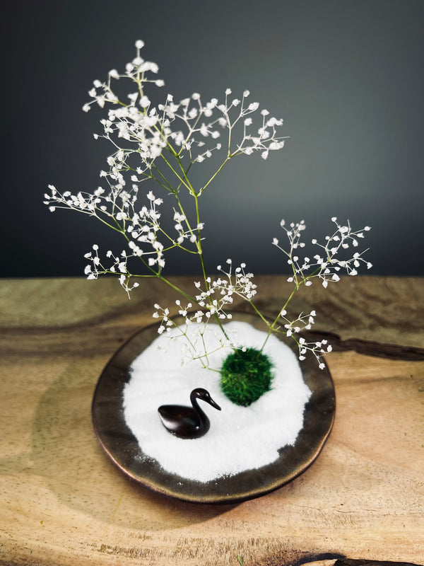 Snowfall - Swan Lake (Preserved Plants)