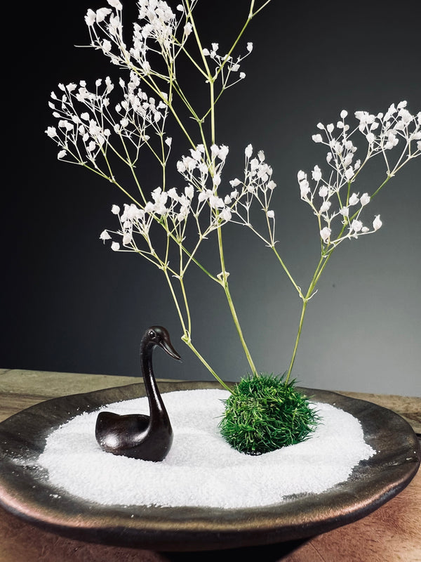 Snowfall - Swan Lake (Preserved Plants)