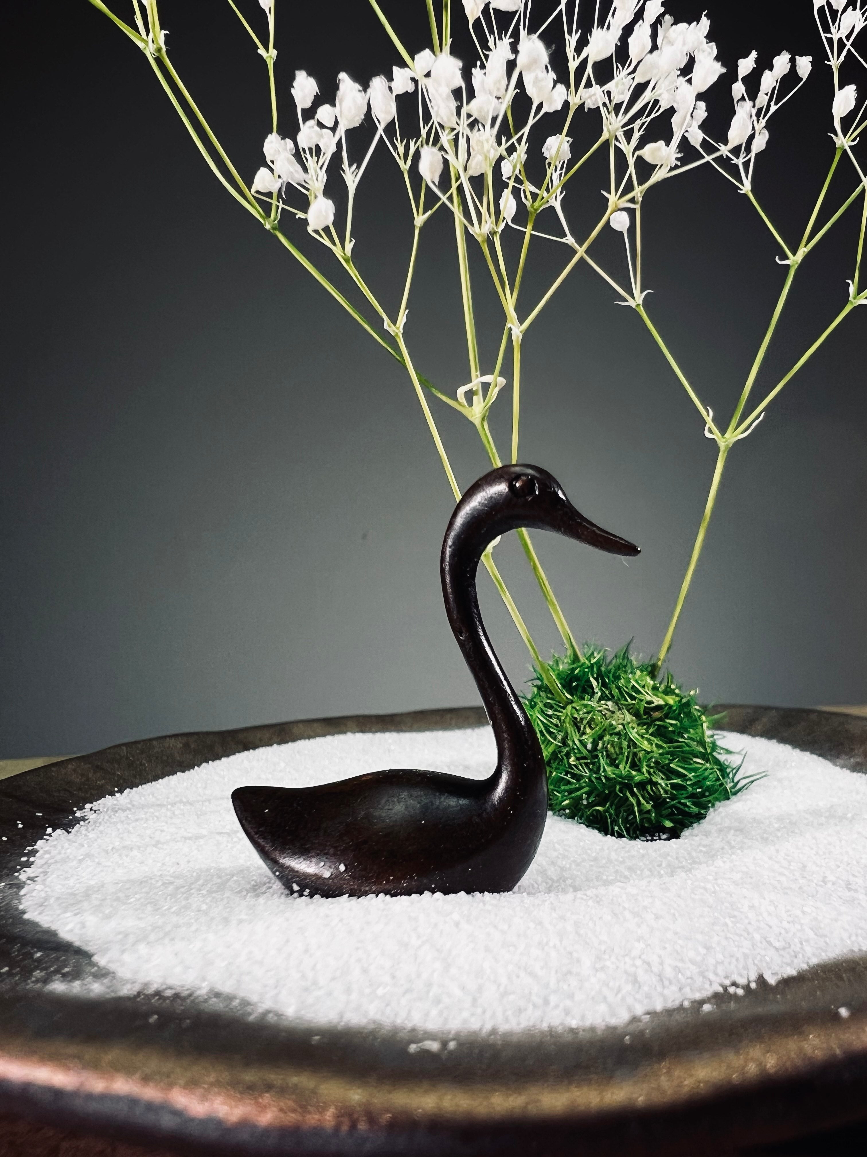 Snowfall - Swan Lake (Preserved Plants)