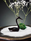 Snowfall - Swan Lake (Preserved Plants)