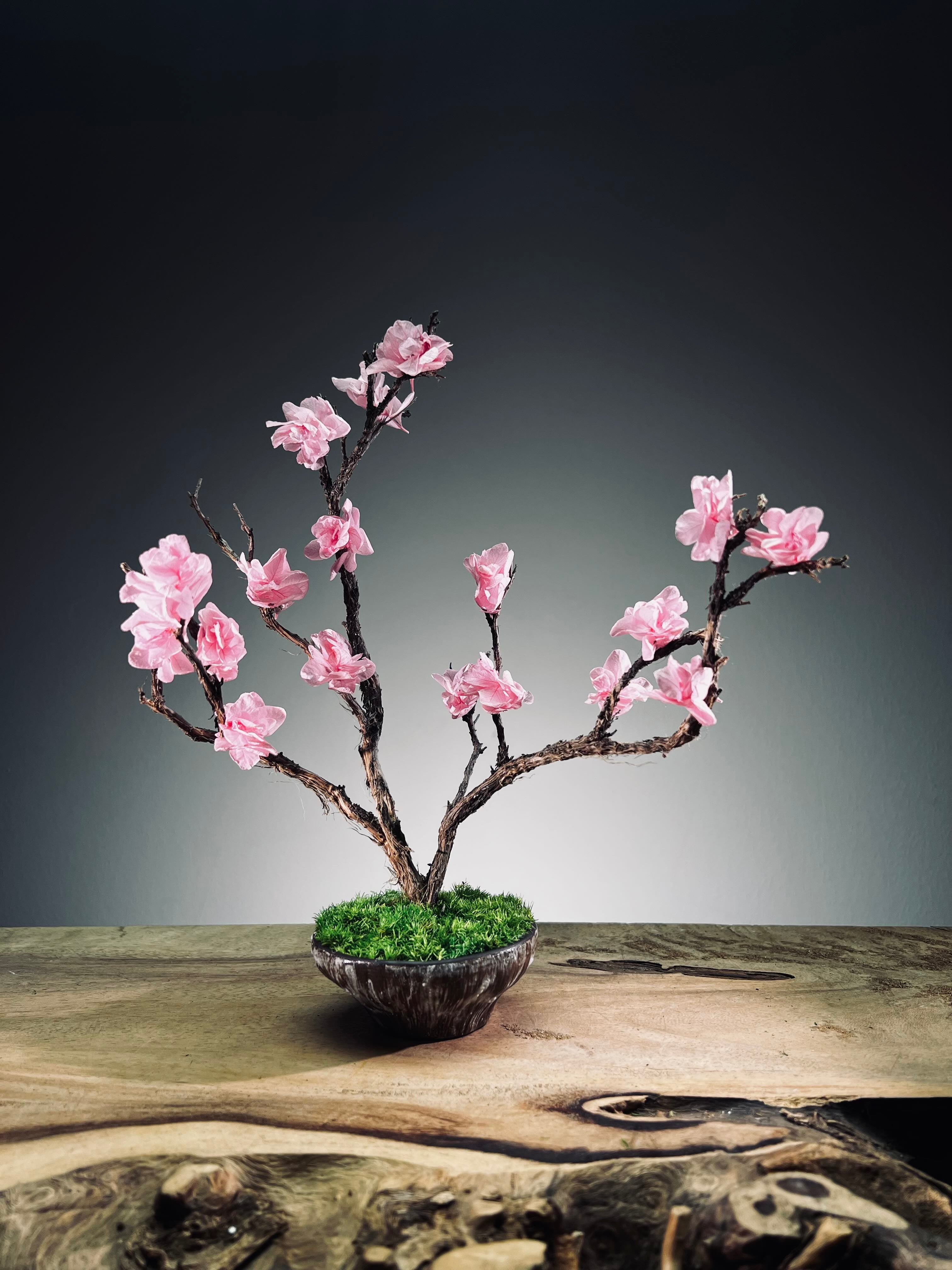 Slow Wood - The Journey - Smaller version (Preserved Plants)