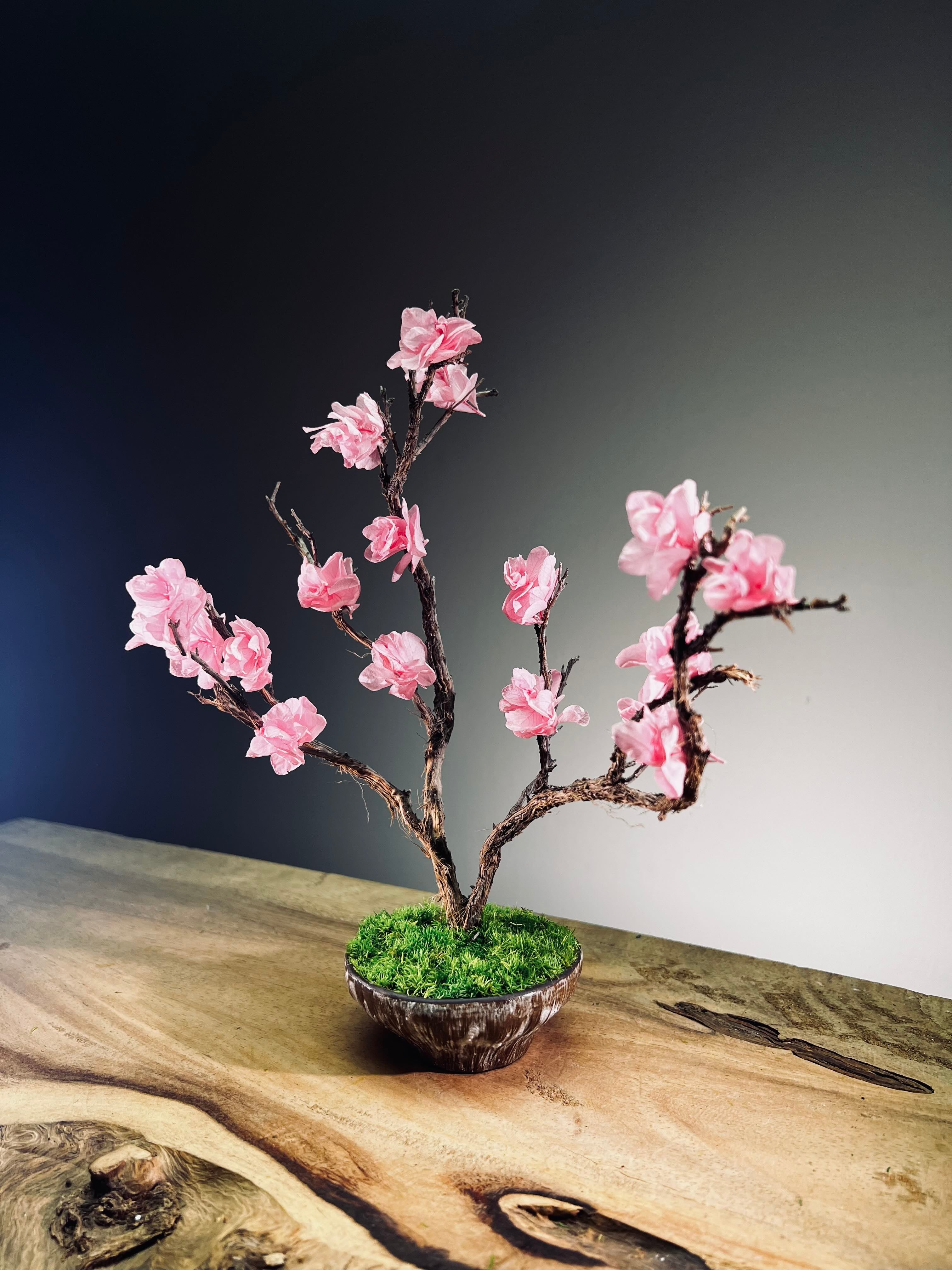 Slow Wood - The Journey - Smaller version (Preserved Plants)