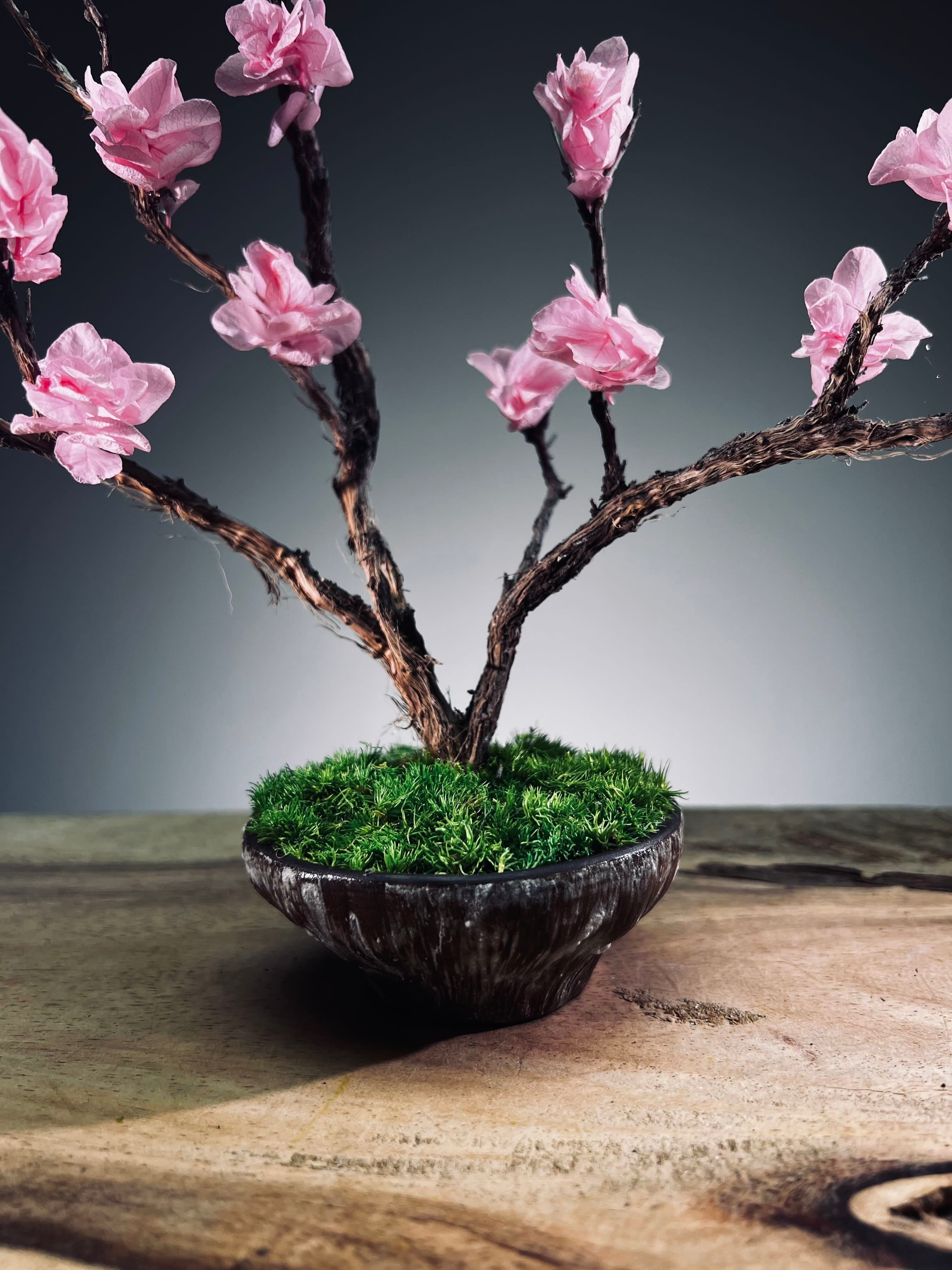 Slow Wood - The Journey - Smaller version (Preserved Plants)