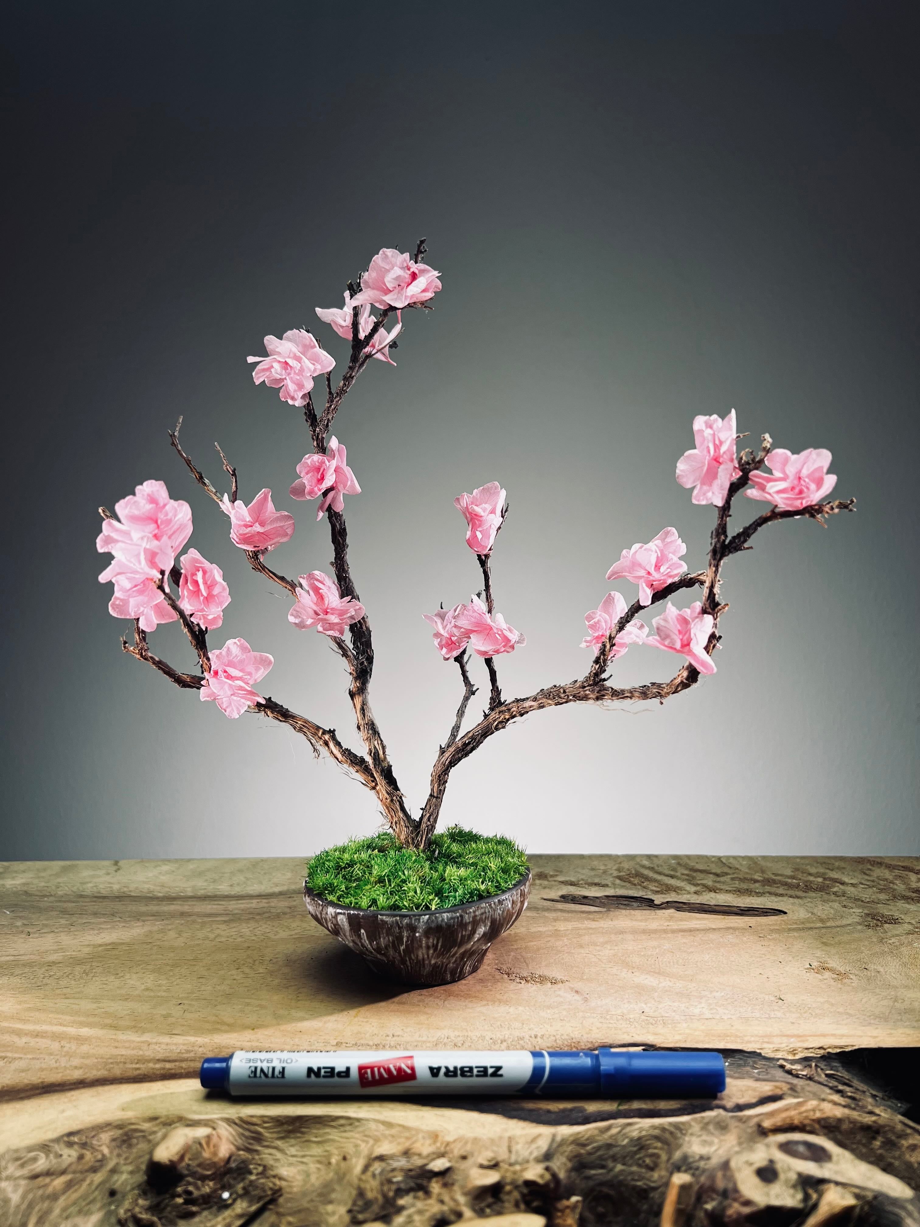 Slow Wood - The Journey - Smaller version (Preserved Plants)