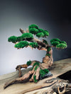 Greenwood - Maverick (Preserved Plants)