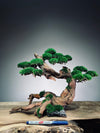 Greenwood - Maverick (Preserved Plants)