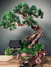 Blackwood Cliff - Medium version (Preserved Plants)