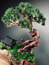 Blackwood Cliff - Medium version (Preserved Plants)