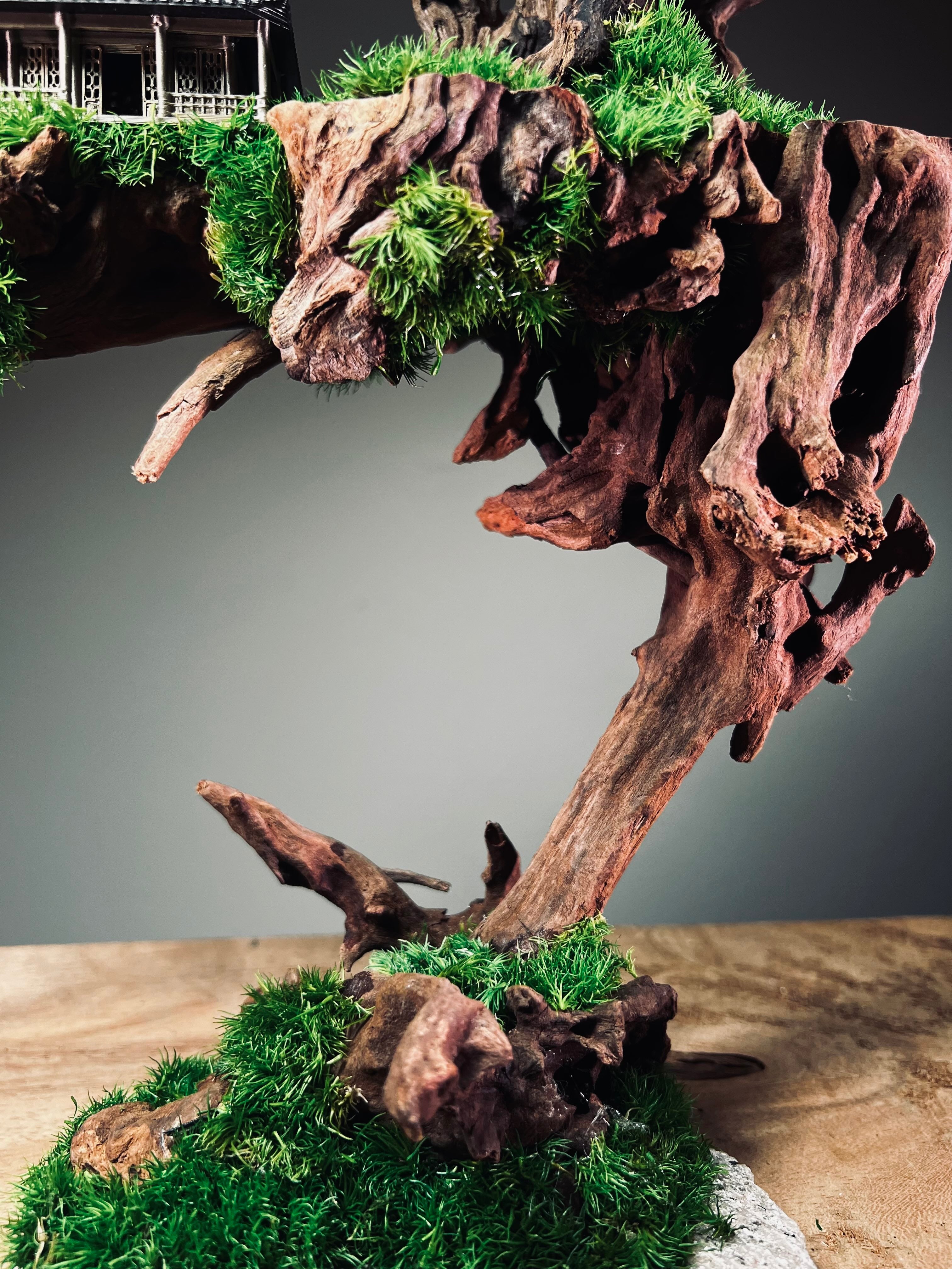 Blackwood Cliff - Medium version (Preserved Plants)