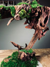 Blackwood Cliff - Medium version (Preserved Plants)